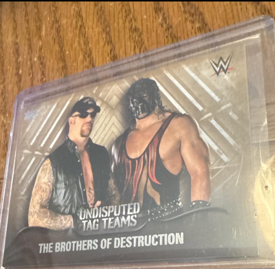 The Brothers of Destruction [Bronze] #UTT-6
