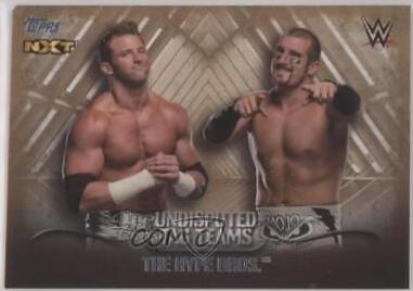 The Hype Bros. [Bronze] #UTT-18