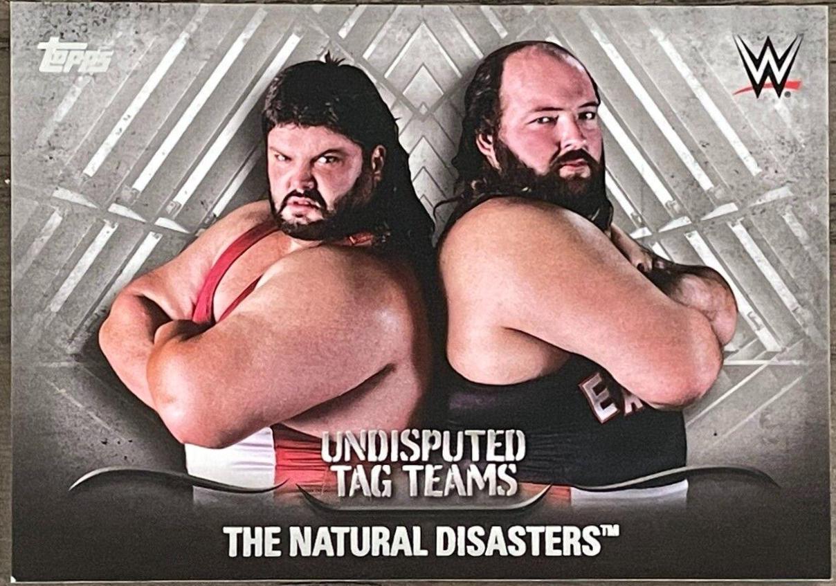 The Natural Disasters [Silver] #UTT-26