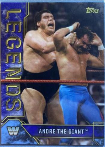 Andre the Giant #8