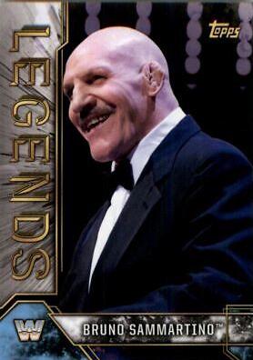 Bruno Sammartino #20