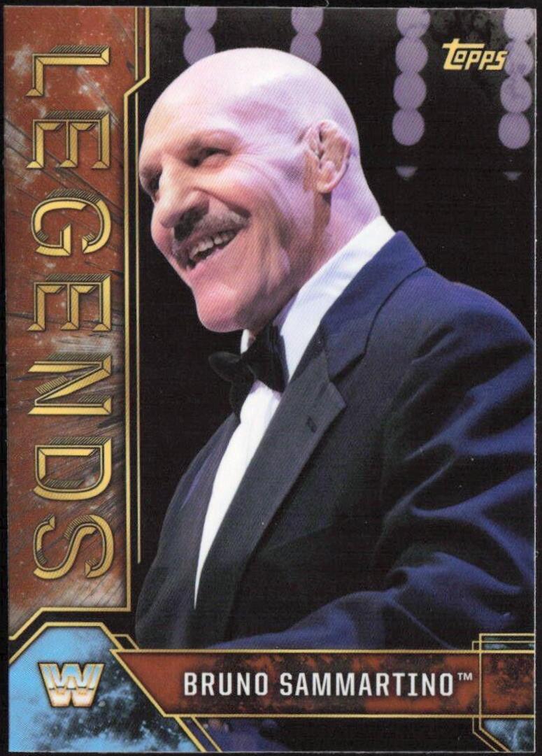 Bruno Sammartino [Bronze] #20