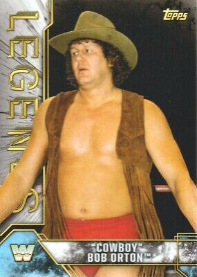 Cowboy Bob Orton #22