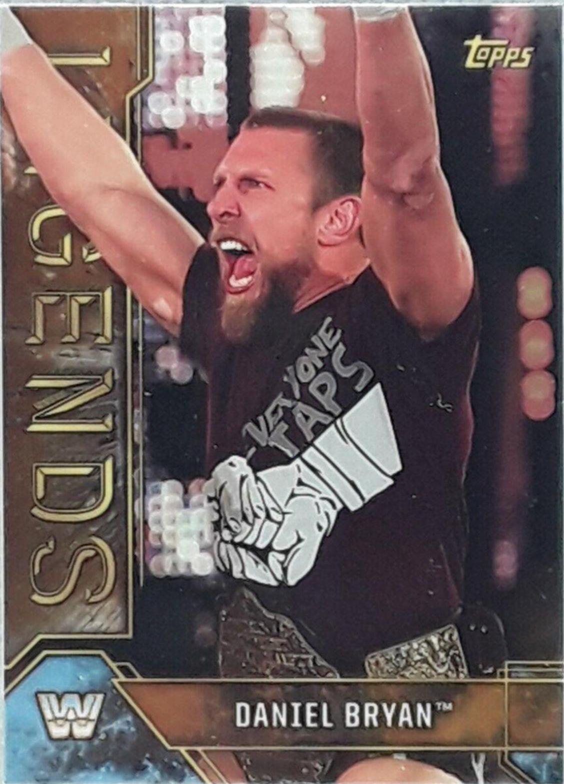 Daniel Bryan [Bronze] #24