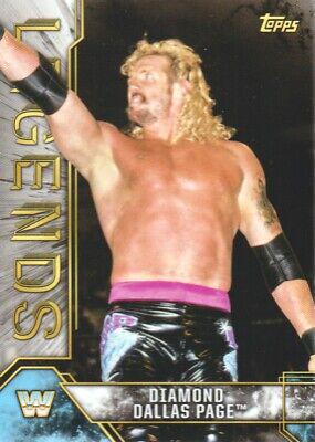 Diamond Dallas Page #26