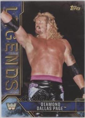 Diamond Dallas Page [Blue] #26