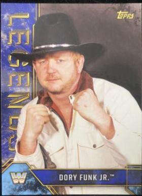 Dory Funk Jr. [Blue] #28