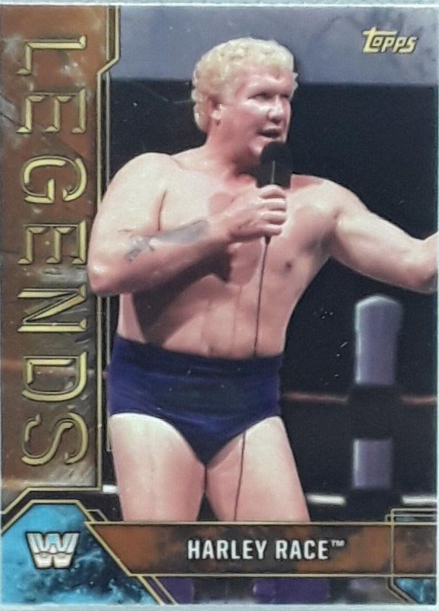 Harley Race [Bronze] #42