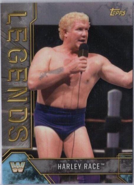 Harley Race [Silver] #42