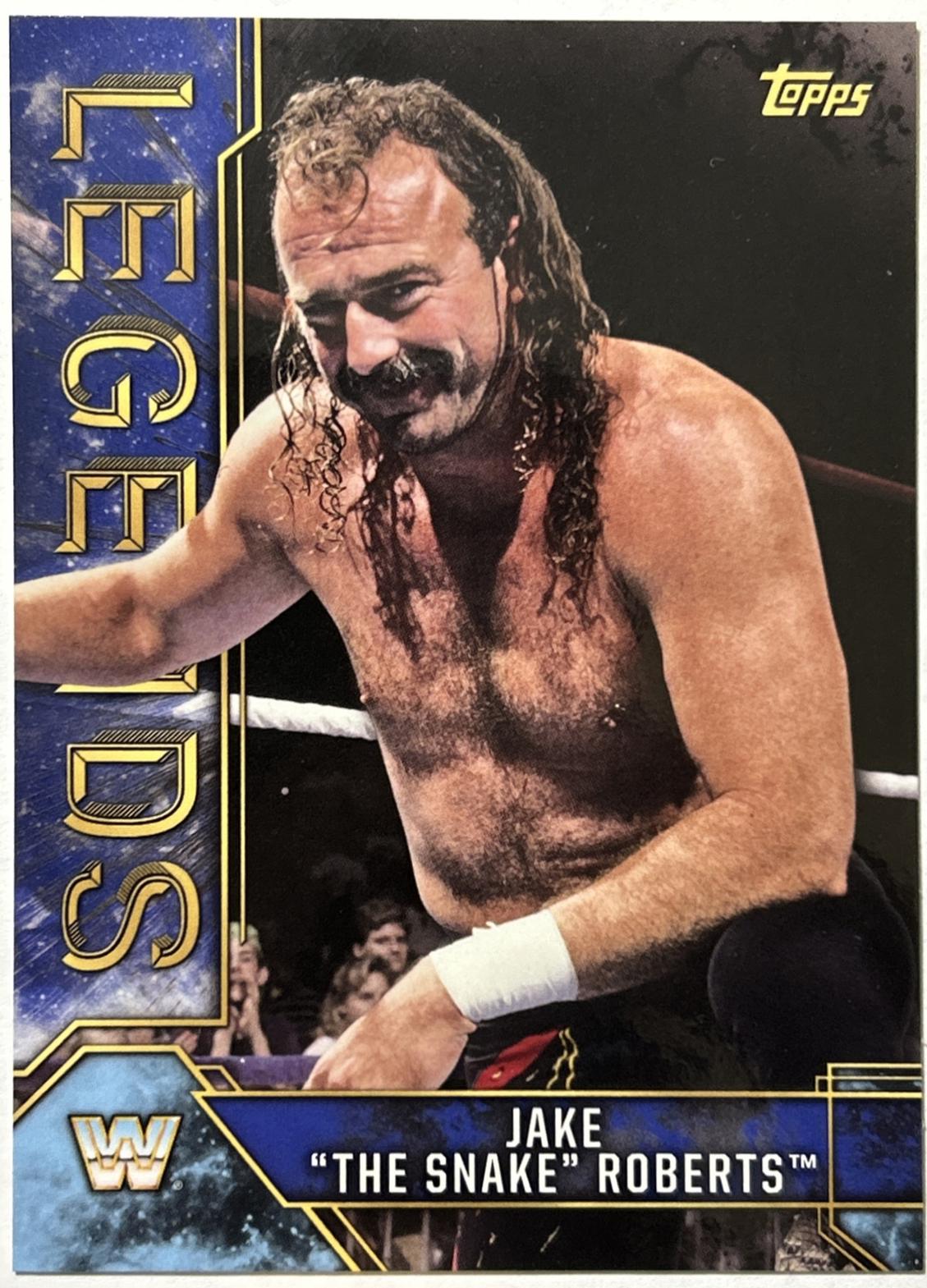 Jake The Snake Roberts [Blue] #46