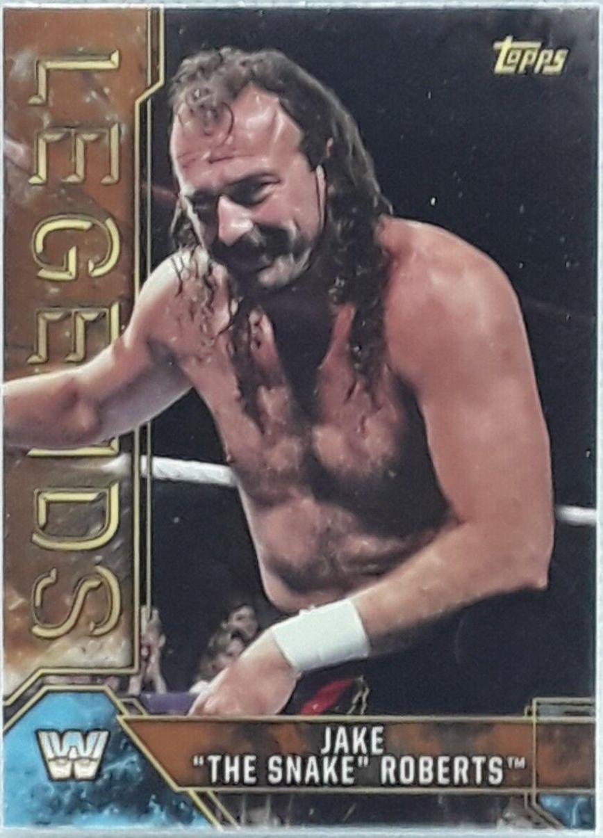 Jake The Snake Roberts [Bronze] #46