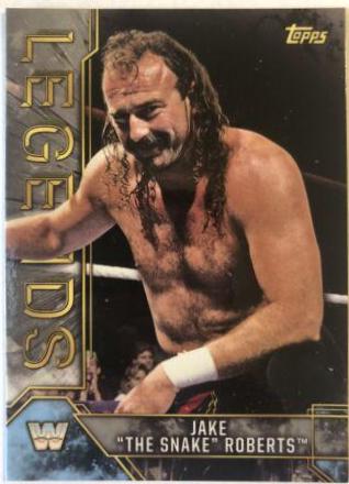 Jake The Snake Roberts [Silver] #46