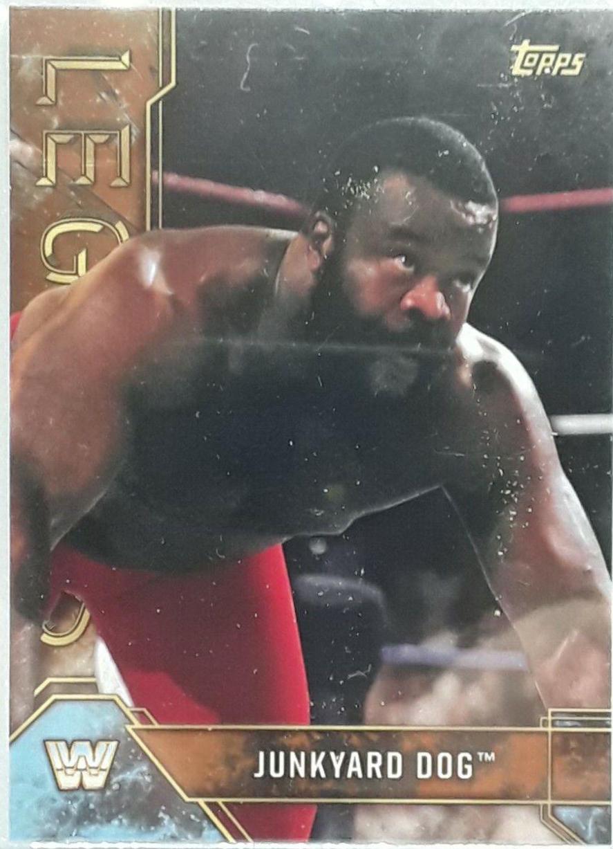Junkyard Dog [Bronze] #51
