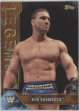 Ken Shamrock [Bronze] #53