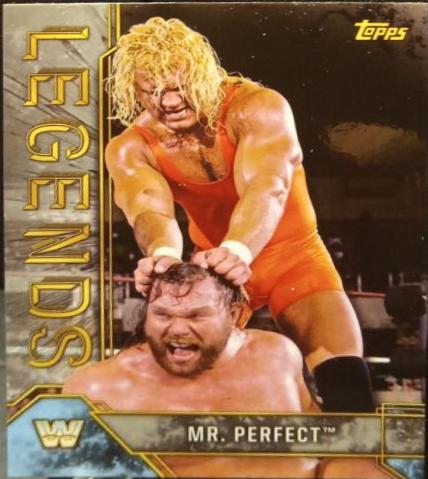 Mr. Perfect [Silver] #65