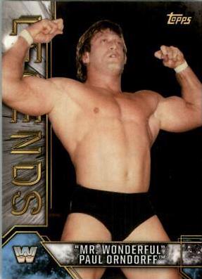 Mr. Wonderful Paul Orndorff #66