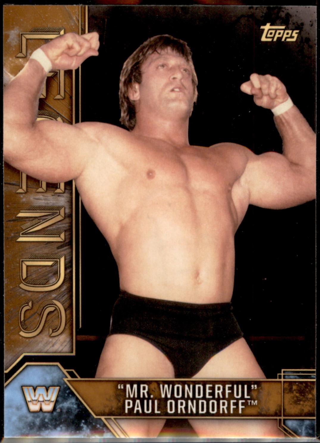 Mr. Wonderful Paul Orndorff [Bronze] #66