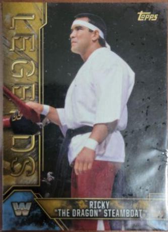 Ricky The Dragon Steamboat #73