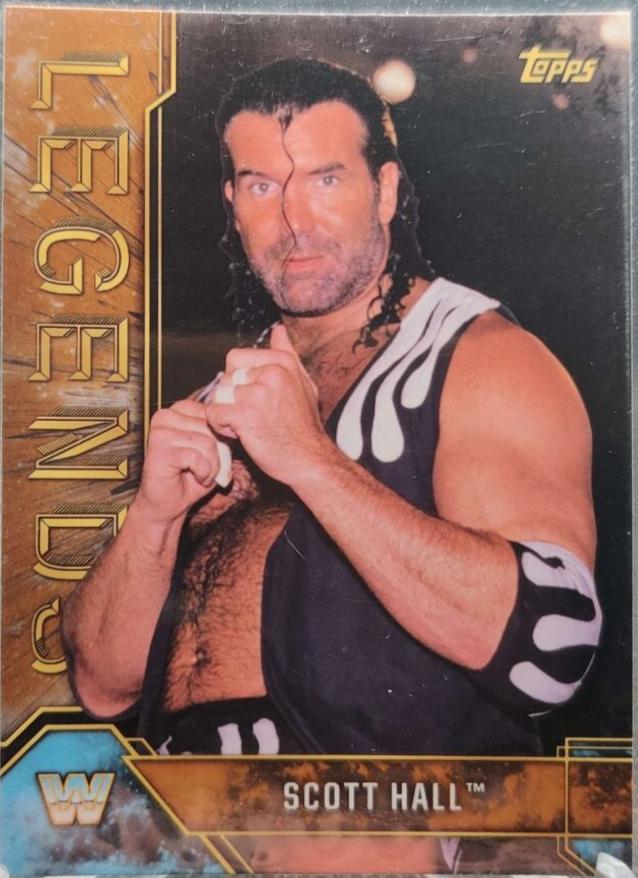 Scott Hall [Bronze] #79