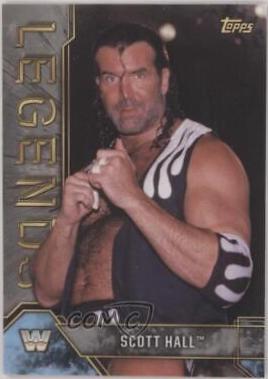 Scott Hall [Silver] #79