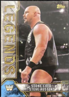 Stone Cold Steve Austin #86
