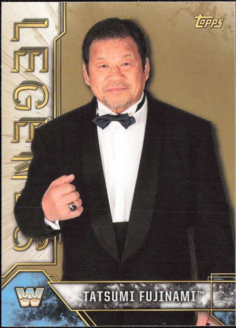 Tatsumi Fujinami #88