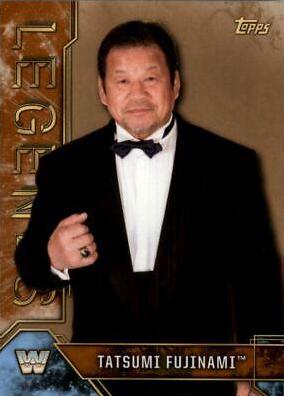 Tatsumi Fujinami [Bronze] #88