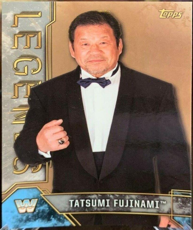 Tatsumi Fujinami [Silver] #88