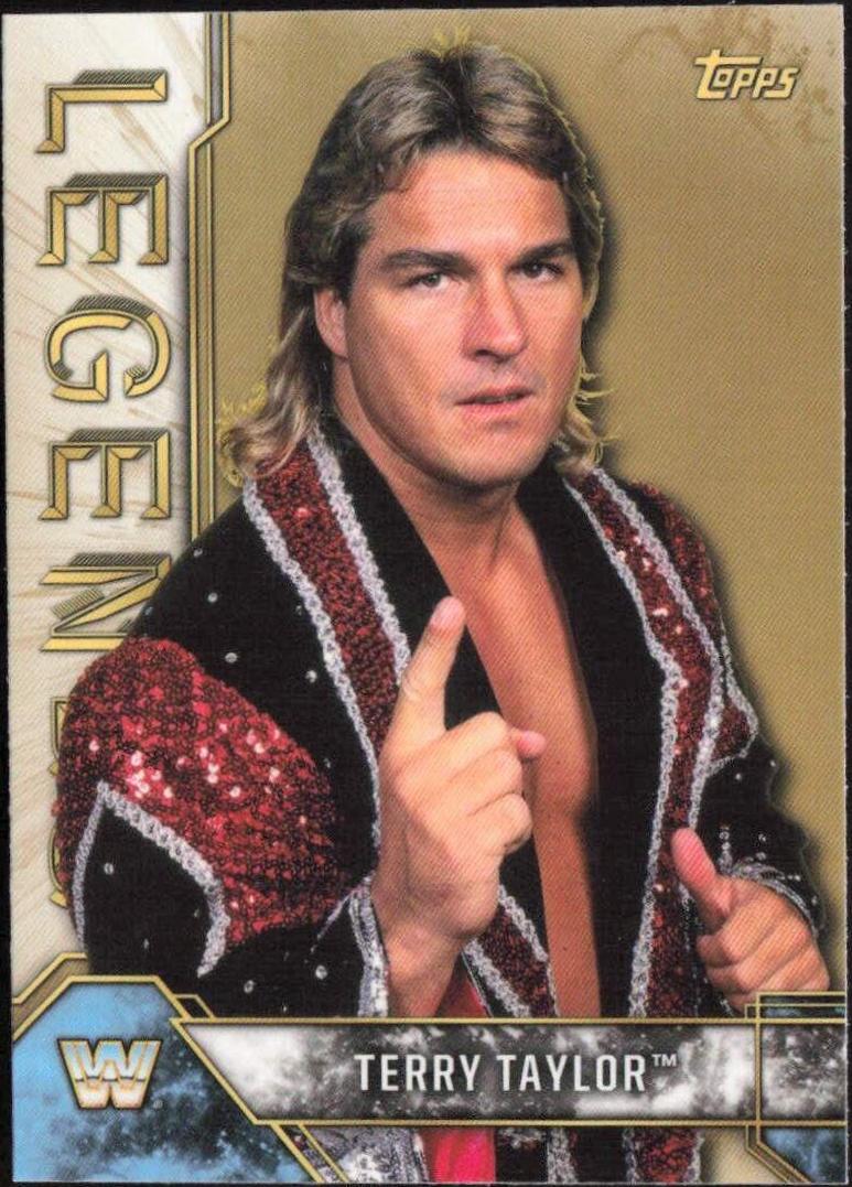 Terry Taylor #90