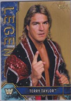Terry Taylor [Blue] #90