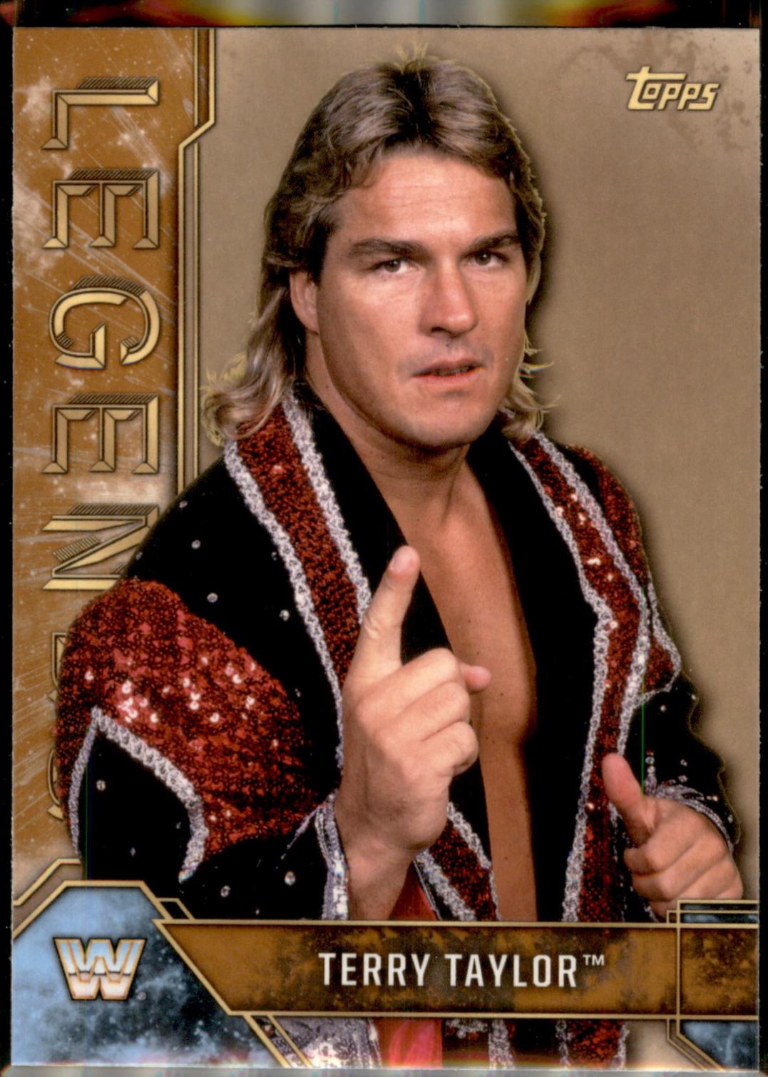 Terry Taylor [Bronze] #90