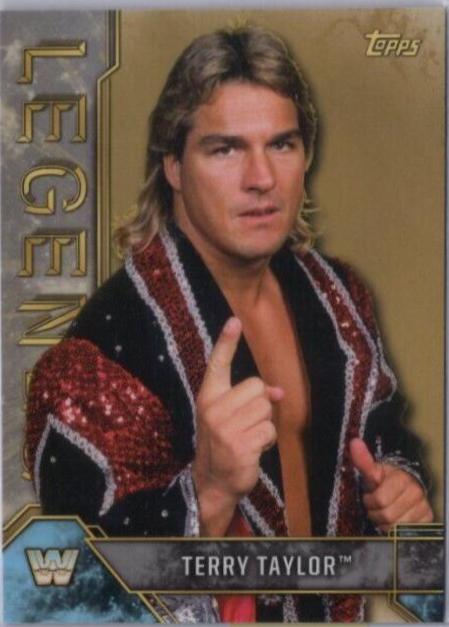 Terry Taylor [Silver] #90