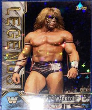 Ultimate Warrior #94