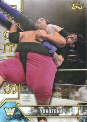 Yokozuna #100