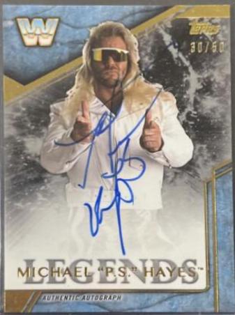 Michael 'P. S. ' Hayes [Silver] #LA-MP