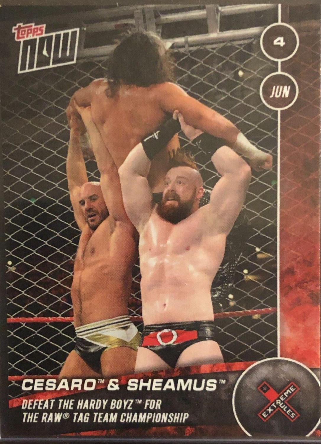 Cesaro & Sheamus #103