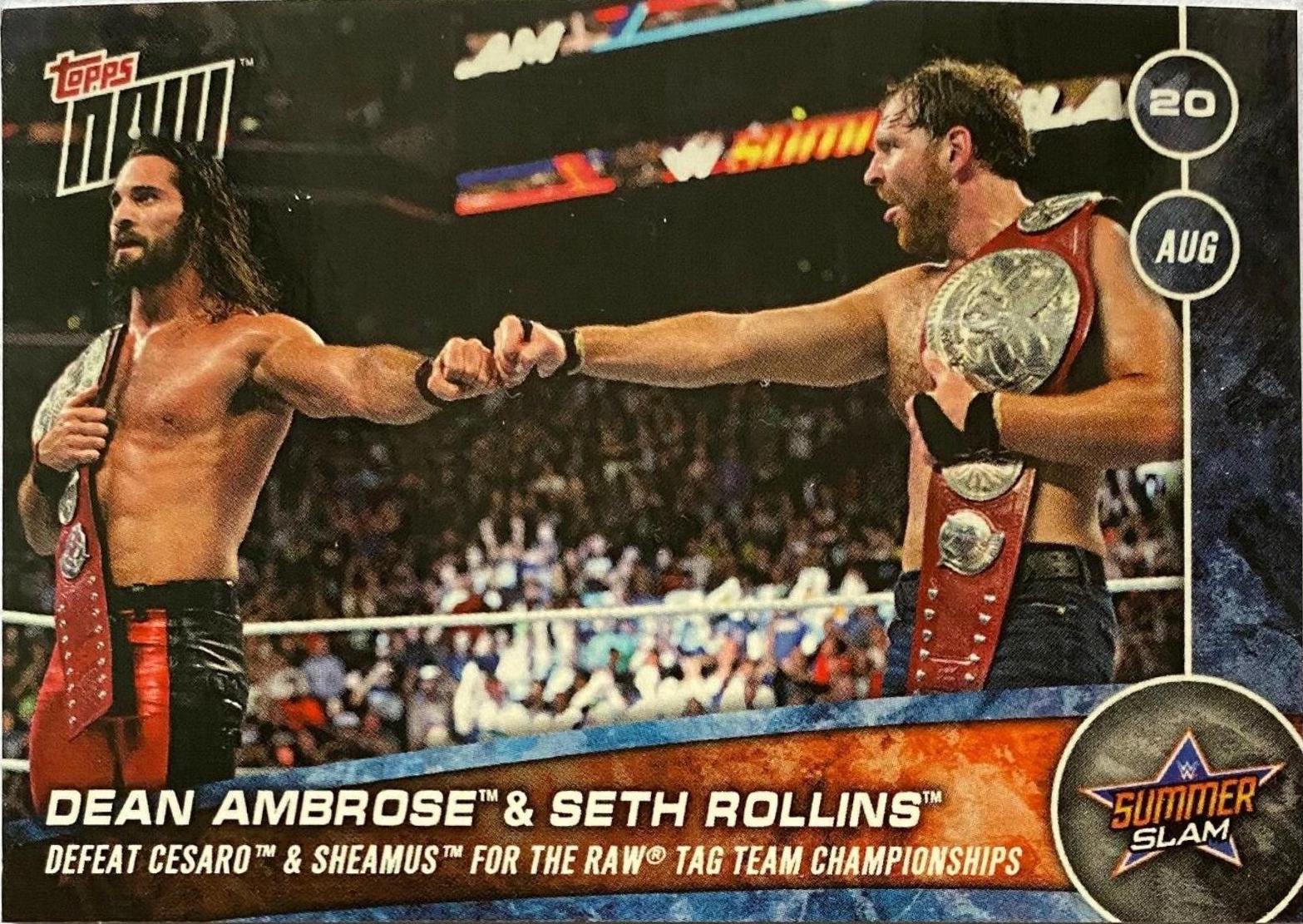 Dean Ambrose & Seth Rollins #128
