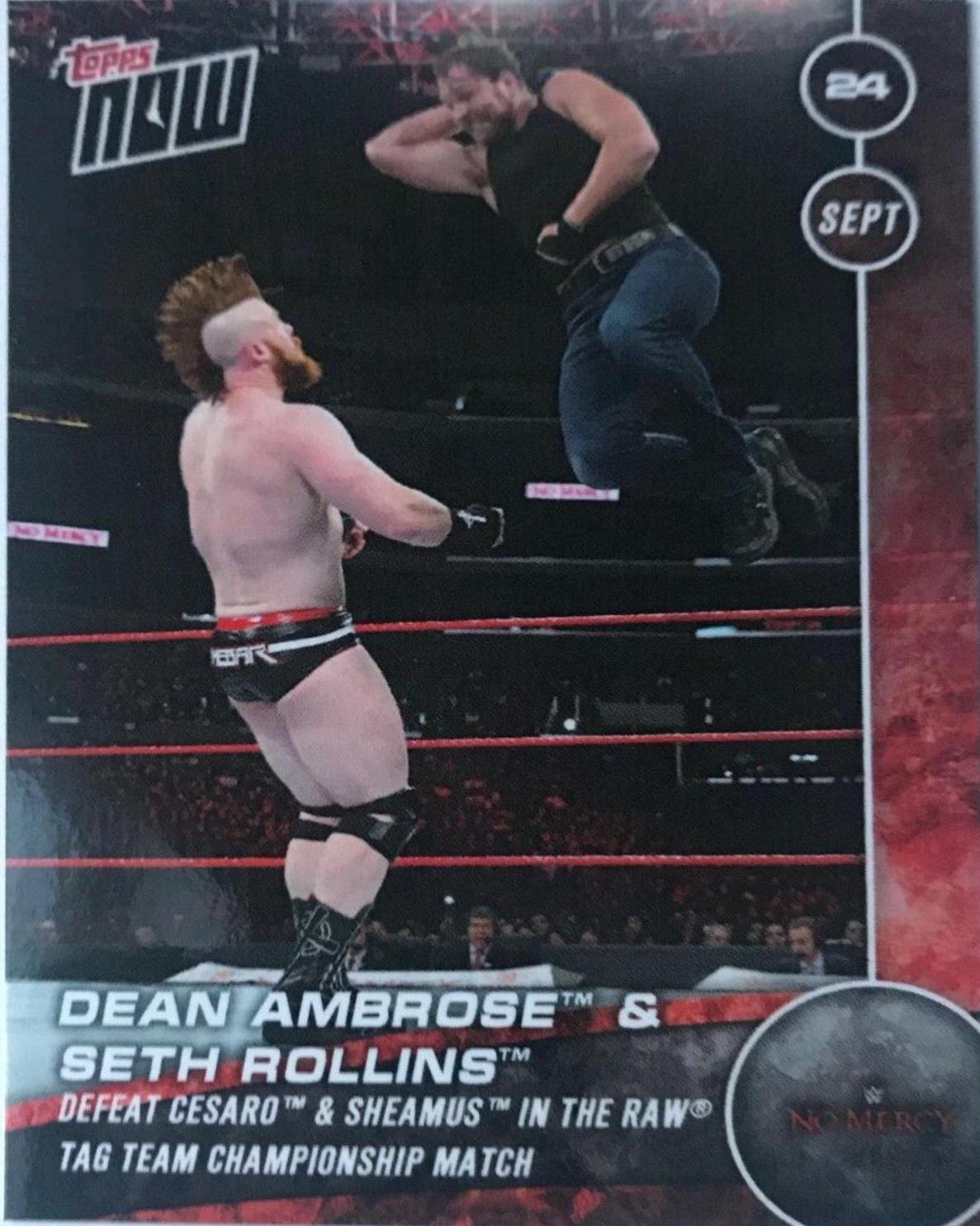 Dean Ambrose & Seth Rollins #128A