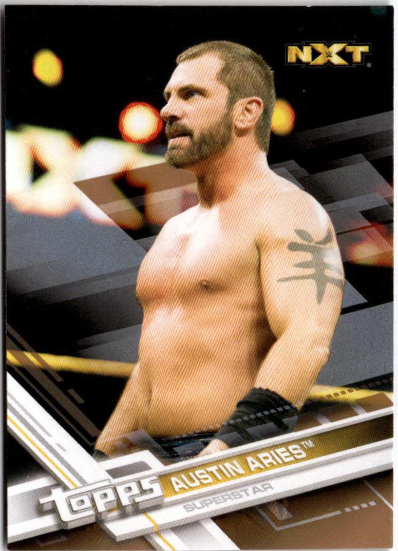 Austin Aries [Bronze] #63