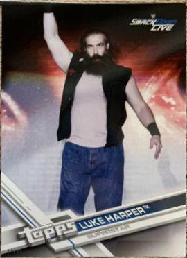 Luke Harper #49