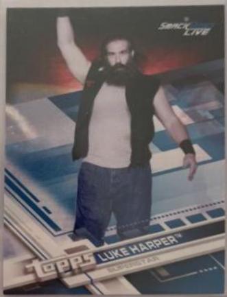 Luke Harper [Blue] #49