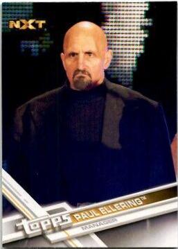 Paul Ellering #80