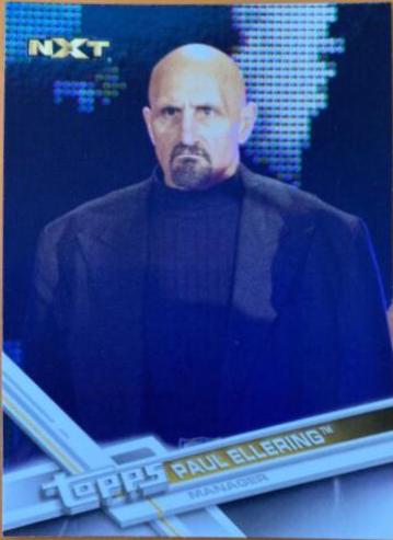 Paul Ellering [Blue] #80