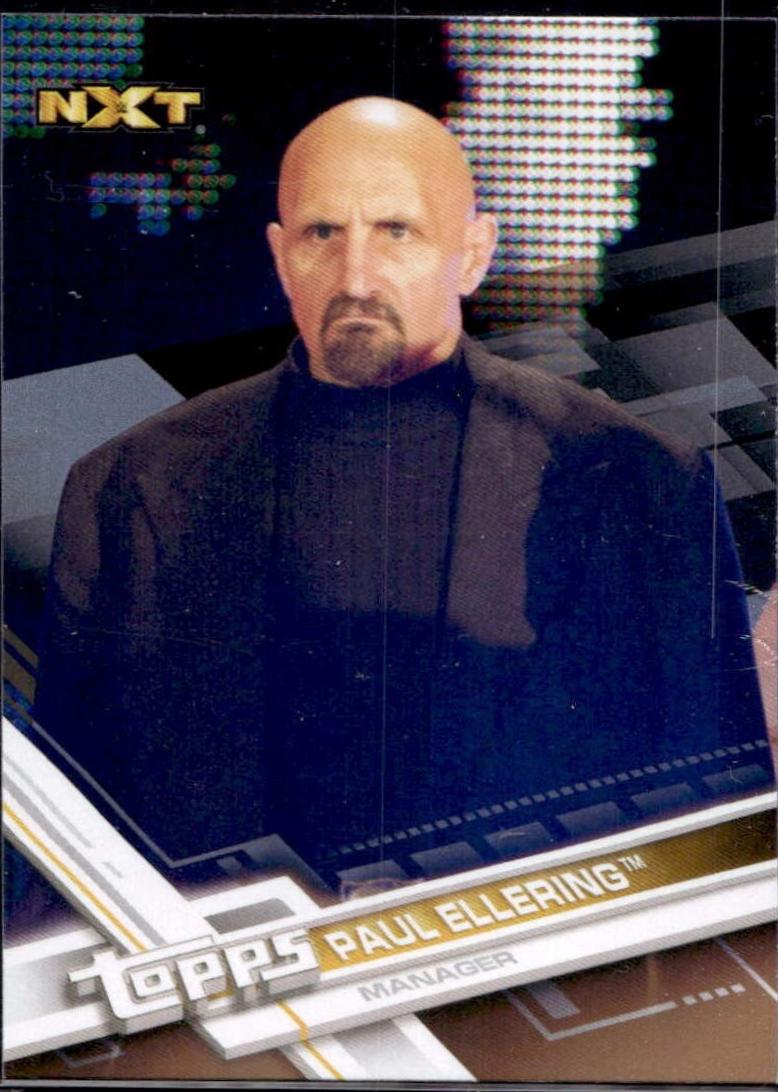Paul Ellering [Bronze] #80