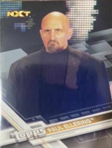 Paul Ellering [Silver] #80