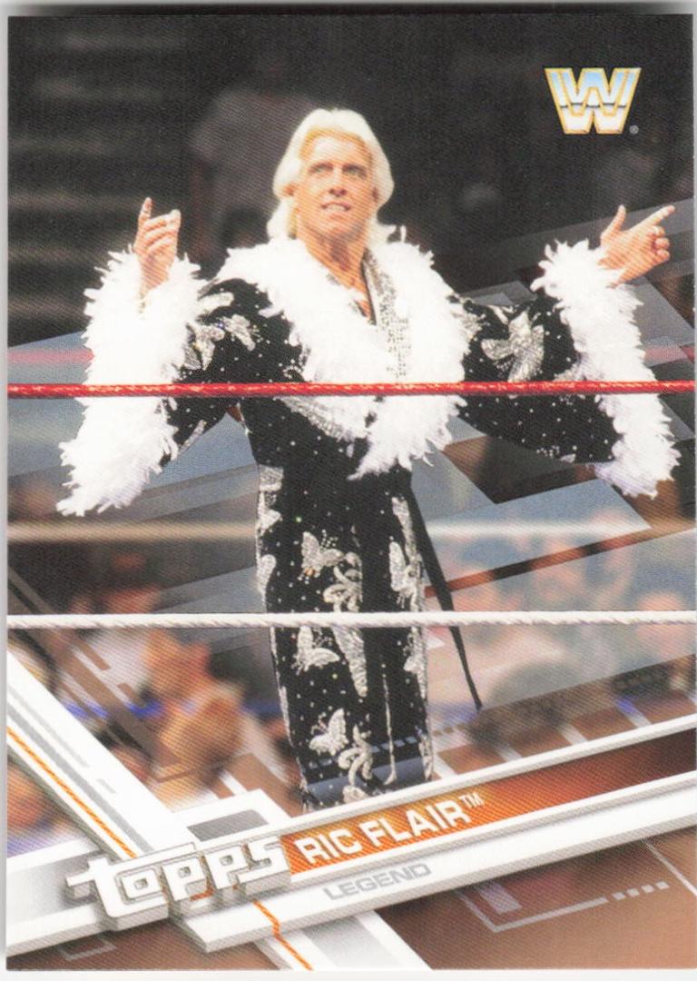 Ric Flair [Bronze] #91
