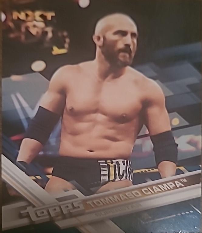 Tommaso Ciampa [Blue] #87