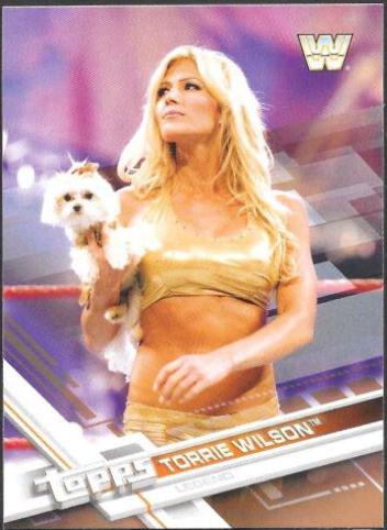 Torrie Wilson [Bronze] #100