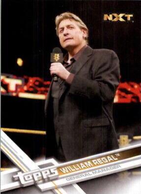 William Regal #89