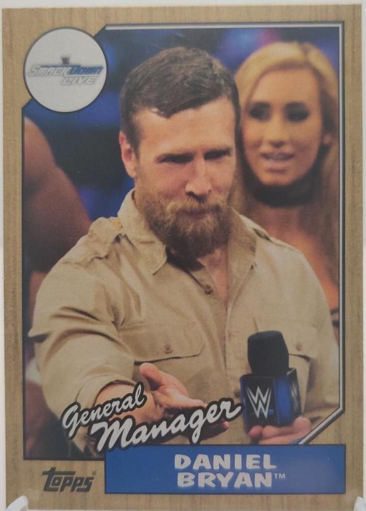Daniel Bryan #46